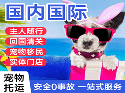 新郑航空邮寄国际宠物托运 【国